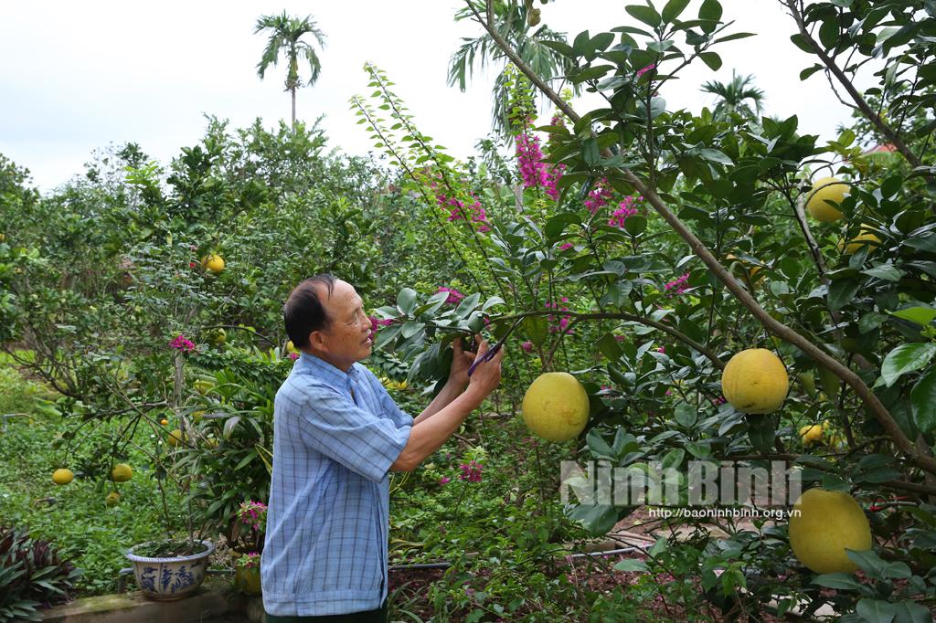 Quang Thiện rạng ngời đón Xuân