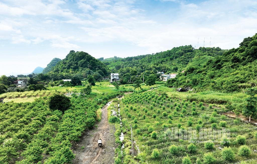 Xuân về trên rẻo cao Phú Long