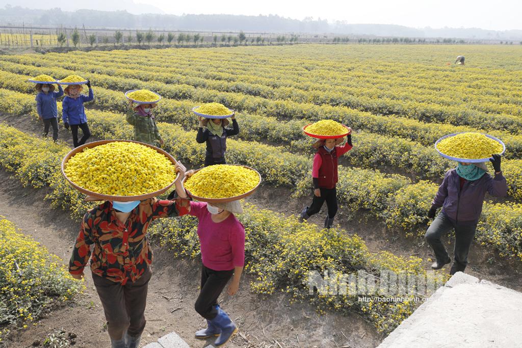 Bó hoa, đời người