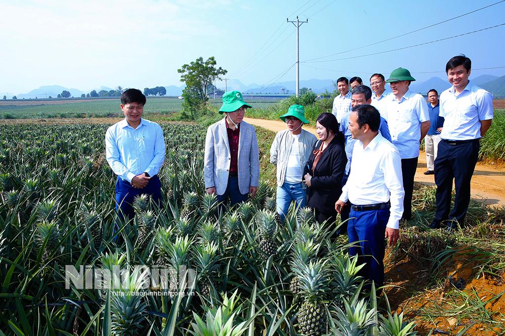 Đoàn đại biểu cấp cao thành phố Asan, Hàn Quốc tham quan tại Ninh Bình