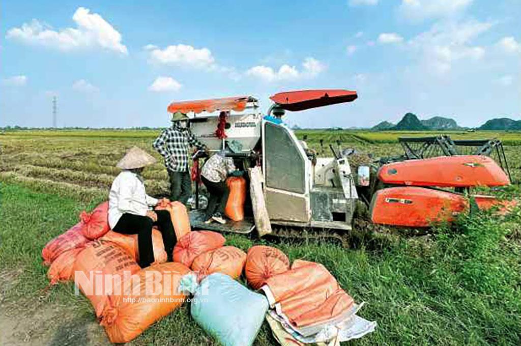 Vụ lúa mùa thắng lợi toàn diện