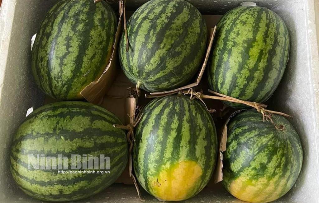 Hoa quả giảm giá mạnh sau Tết