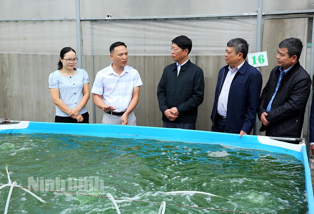 Lãnh đạo UBND tỉnh khảo sát một số cơ sở sản xuất sản phẩm OCOP tại thành phố Tam Điệp và huyện Yên Mô