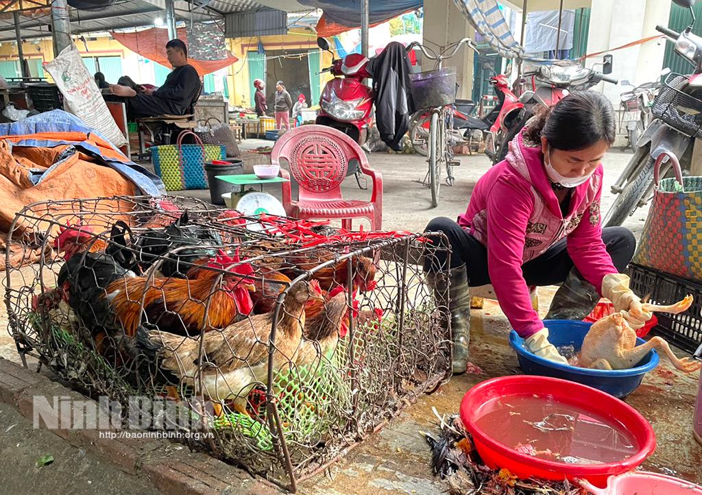 Giá các loại gia cầm tăng mạnh