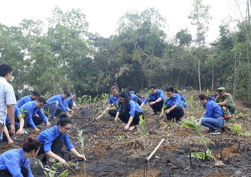 Nhận diện sự thật