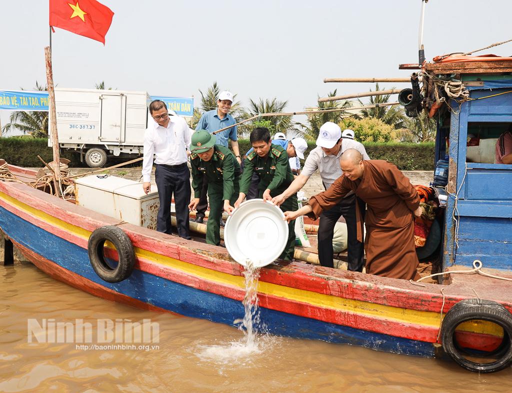 [Video] Thả tái tạo 15.400 con cá vược xuống cửa sông Đáy
