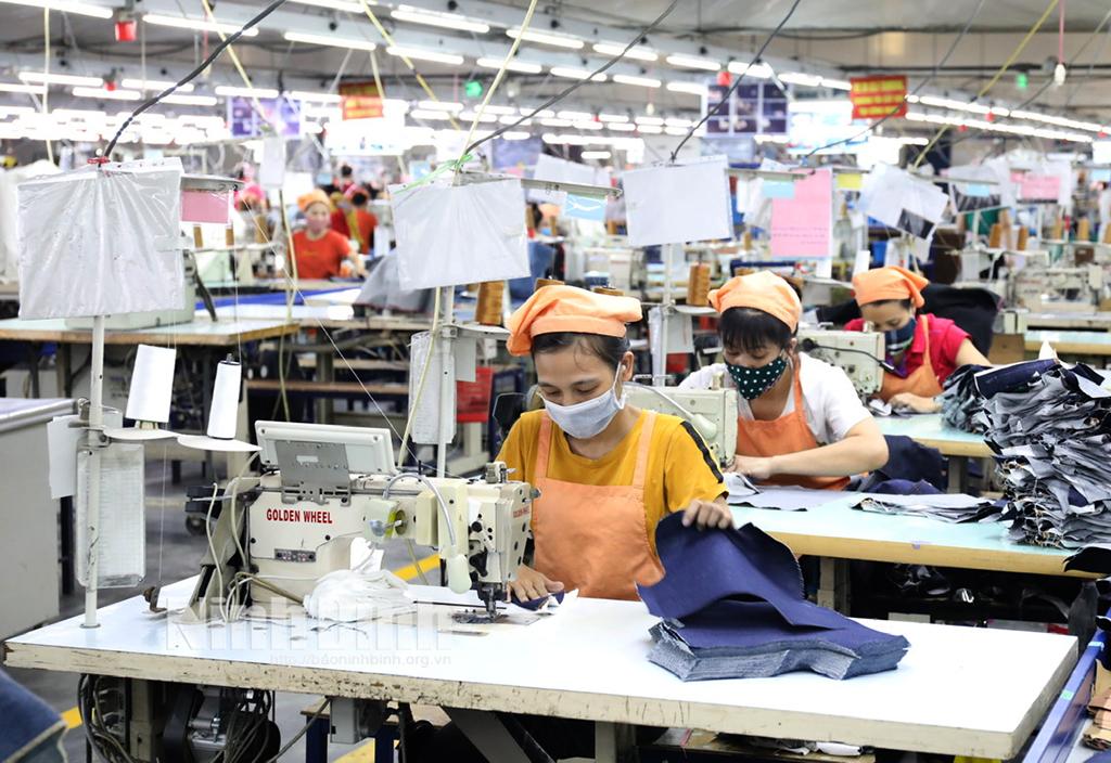 Thị trường lao động nhiều khởi sắc