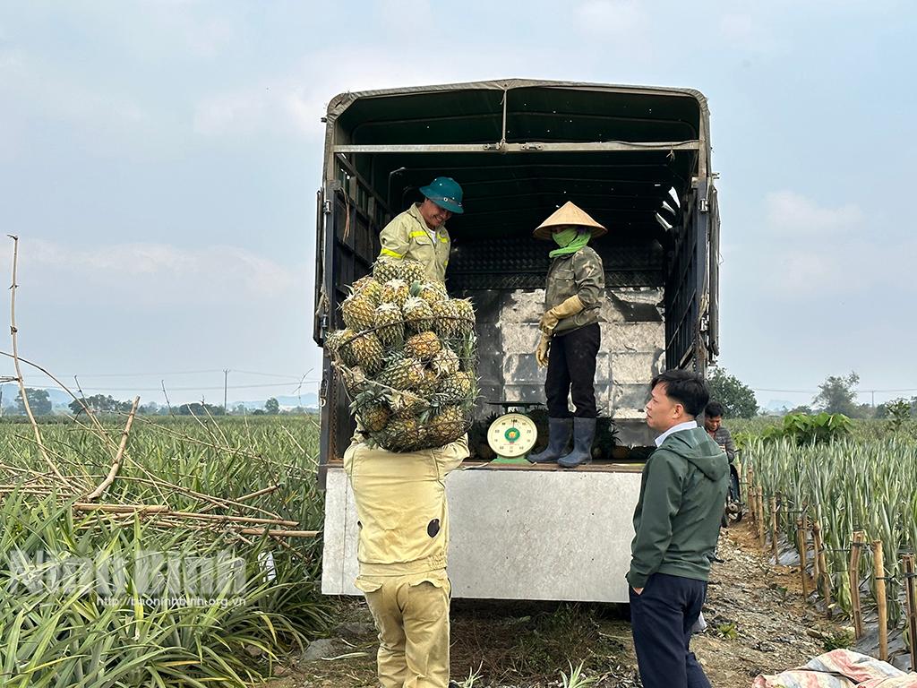 Rộn ràng xuống đồng đầu năm mới