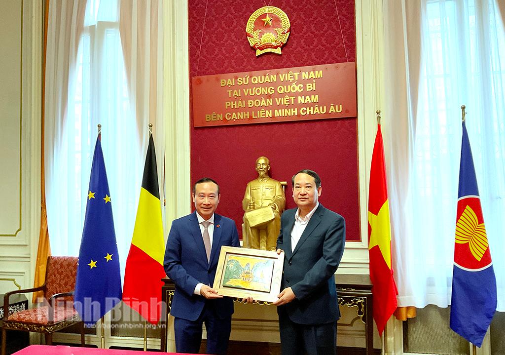 Ninh Binh enhances cooperation with Belgian partners