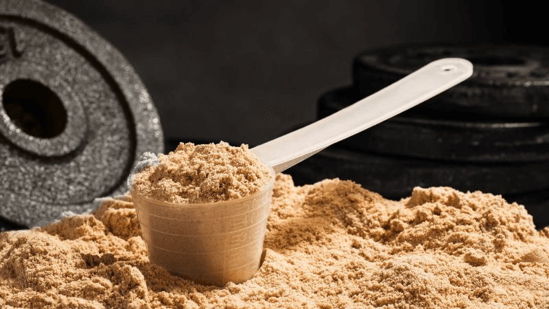 So sánh các loại Whey Protein