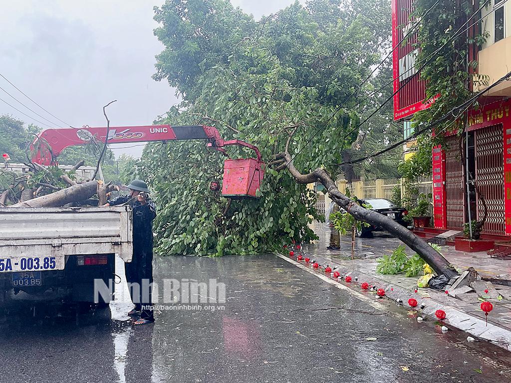 Từ ngày 19-21/9, khu vực tỉnh Ninh Bình có mưa lớn