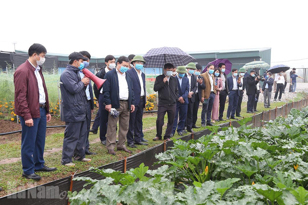 Sở NN&PTNT sơ kết sản xuất vụ xuân