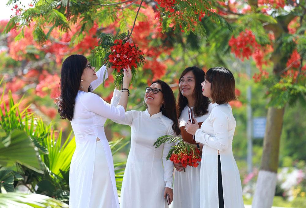 Những mùa phượng vĩ