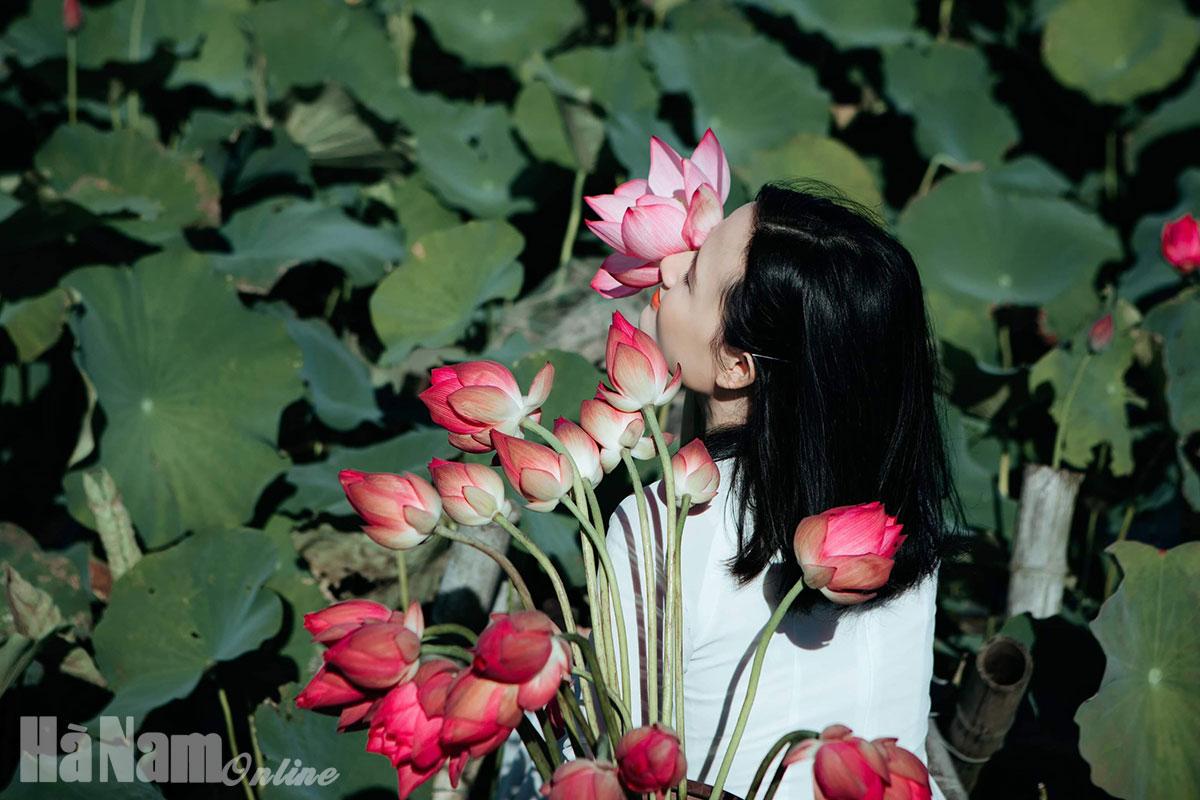 'Hình như thu đã về'