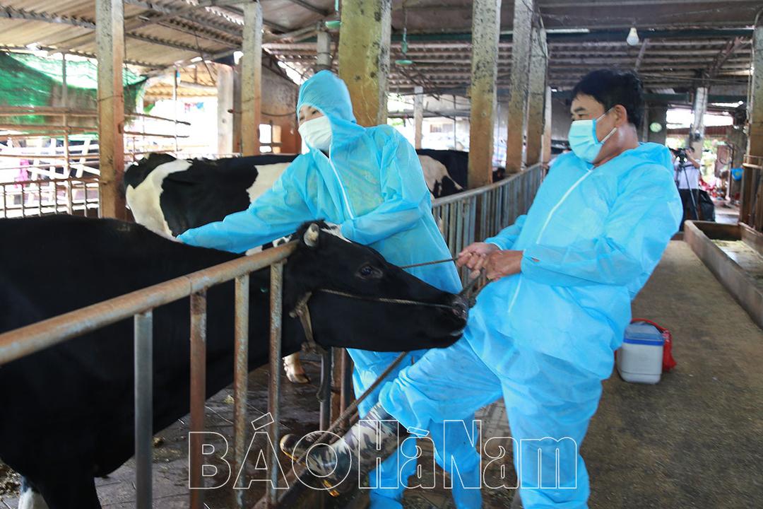 Quan tâm xây dựng đội ngũ nhân viên thú y cơ sở