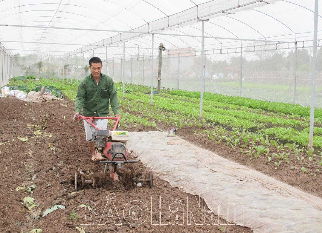 Bình Lục mở rộng mô hình sản xuất nông nghiệp trong nhà kính, nhà màn
