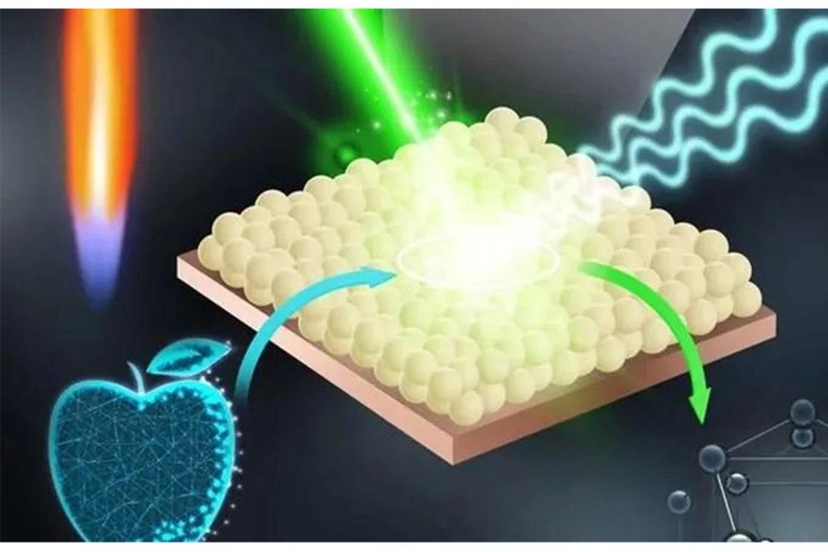 Cảm biến phát hiện nhanh thuốc trừ sâu trong trái cây