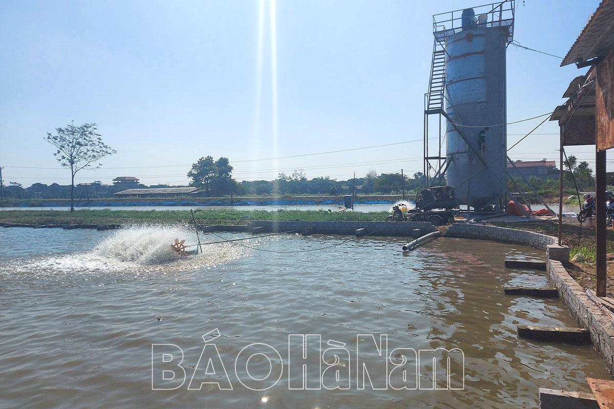 Duy Tiên ứng dụng công nghệ vào sản xuất nông nghiệp