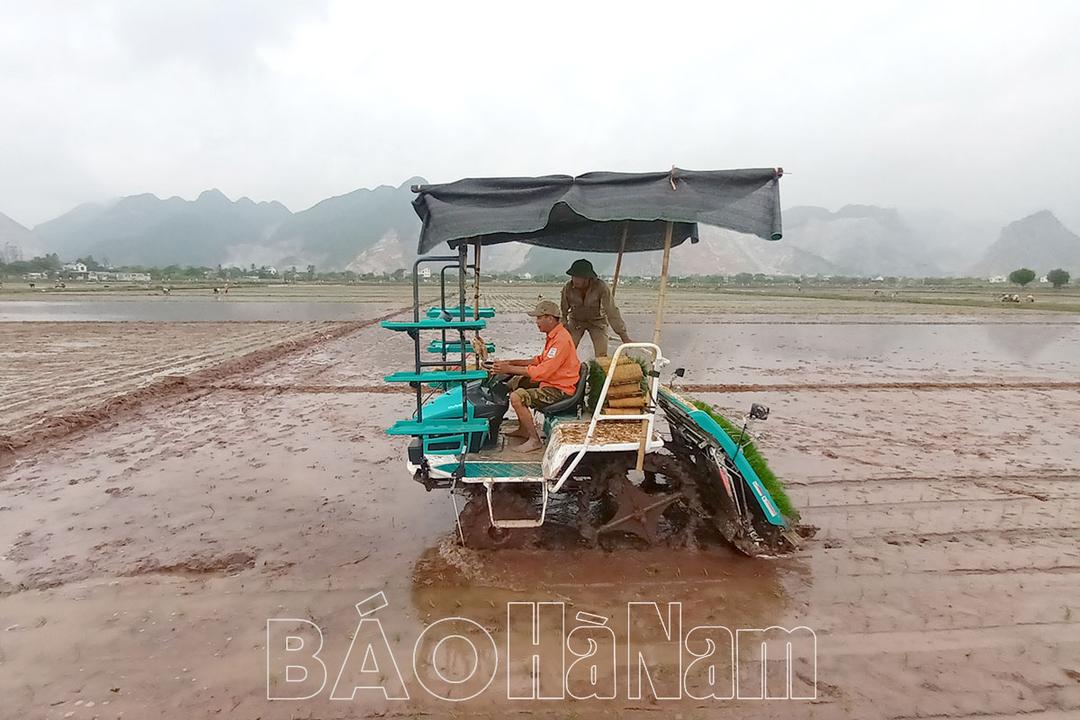 Thanh Tân chú trọng các giải pháp nâng cao thu nhập cho người dân