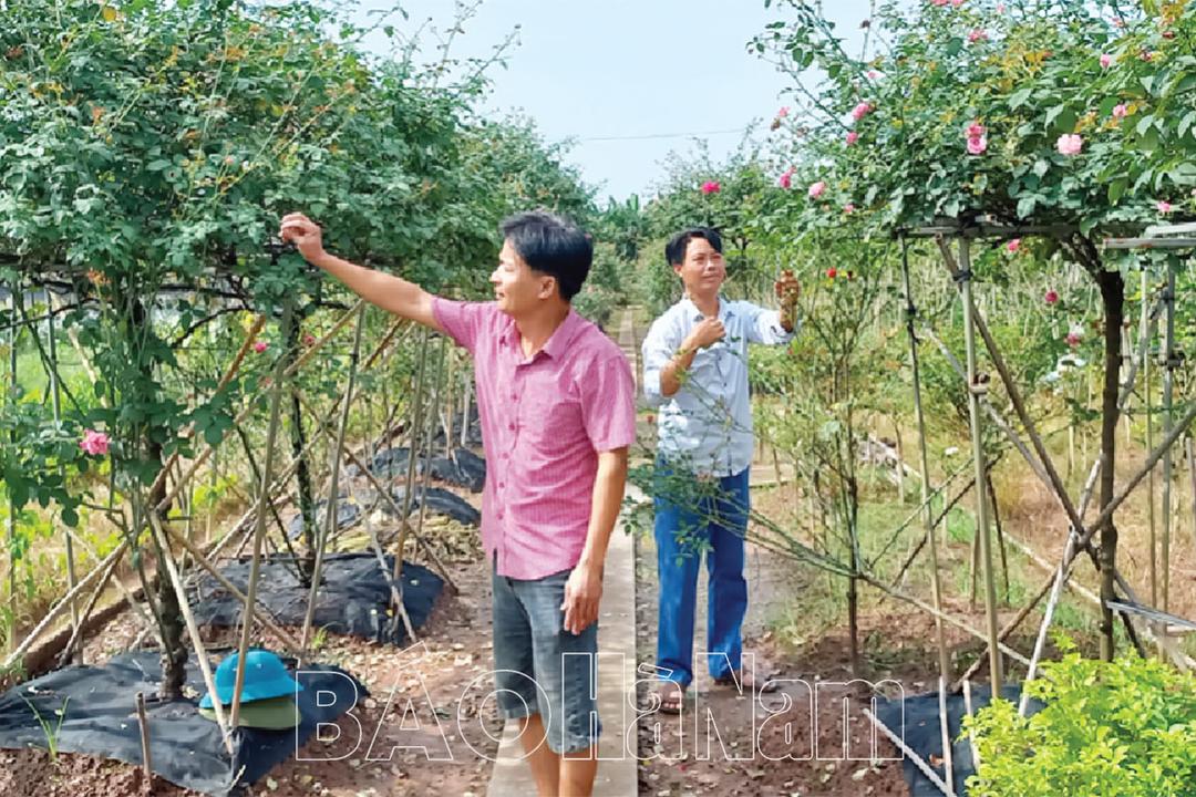 Người dân Thôn 5 Phù Vân hiến đất mở đường, tập trung phát triển kinh tế