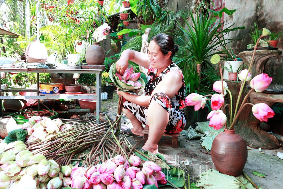 Nhọc nhằn nghề trồng sen bông