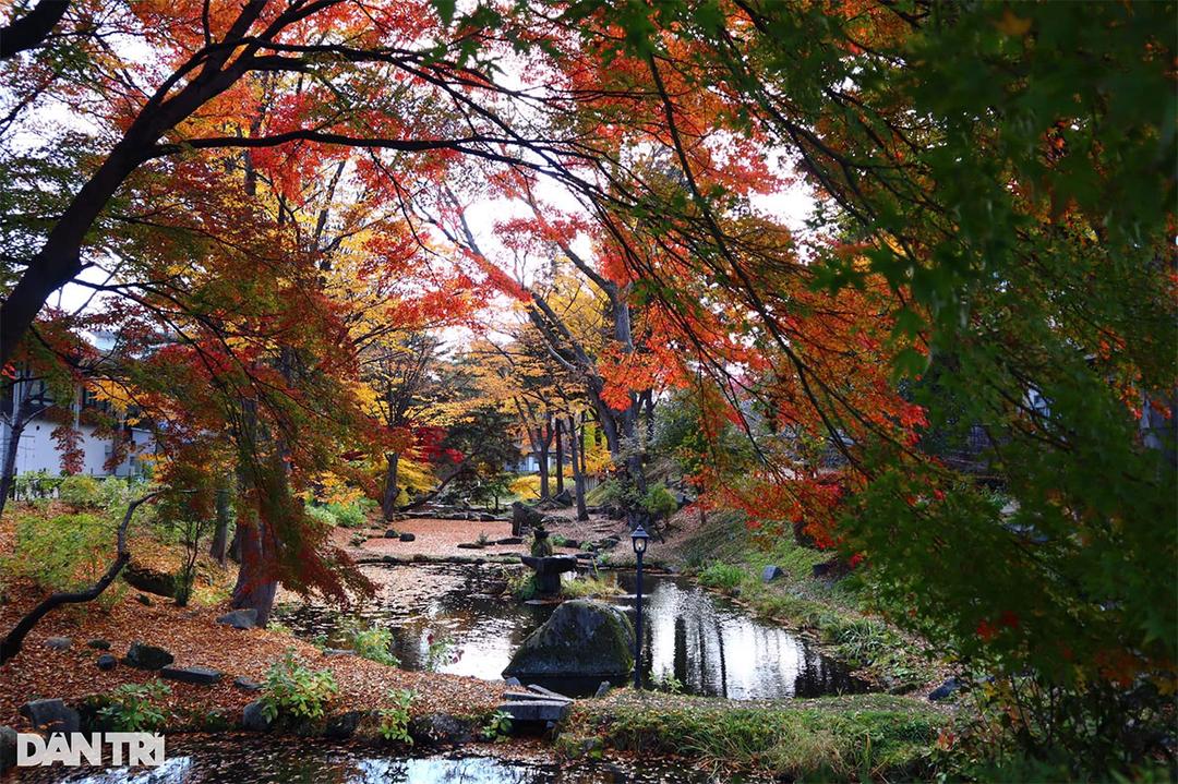 Nhật Bản mở lại du lịch từ Việt Nam