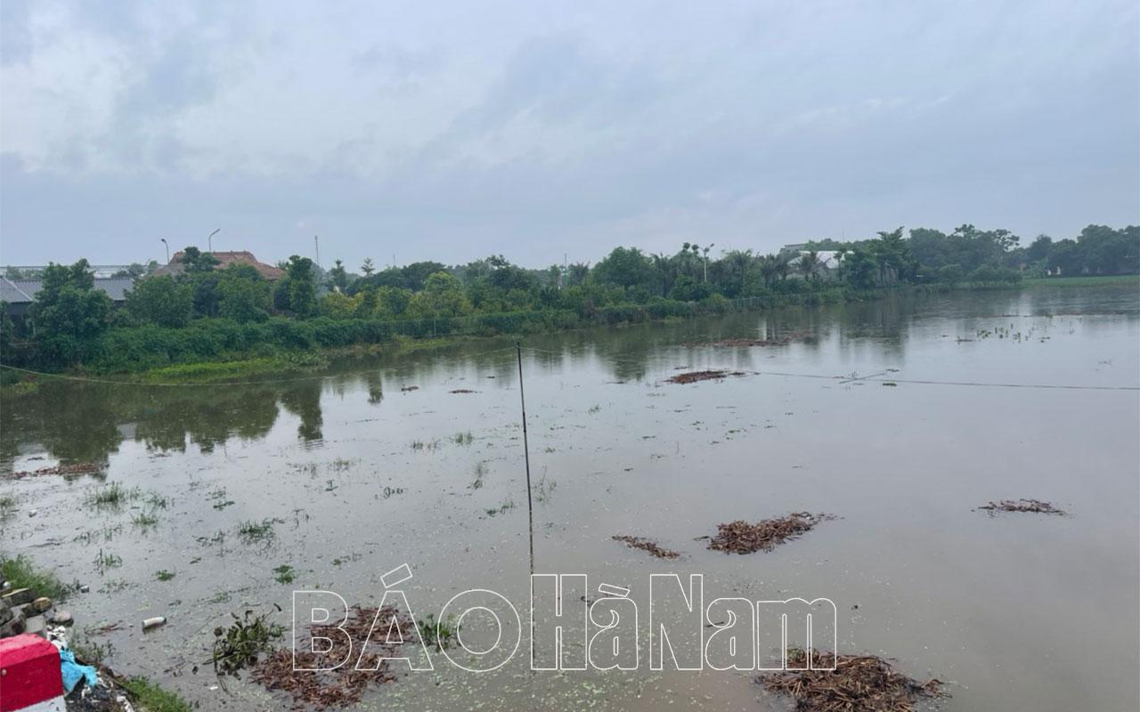 Nhiều diện tích đất bãi ven sông Đáy bị ngập do lũ lên cao