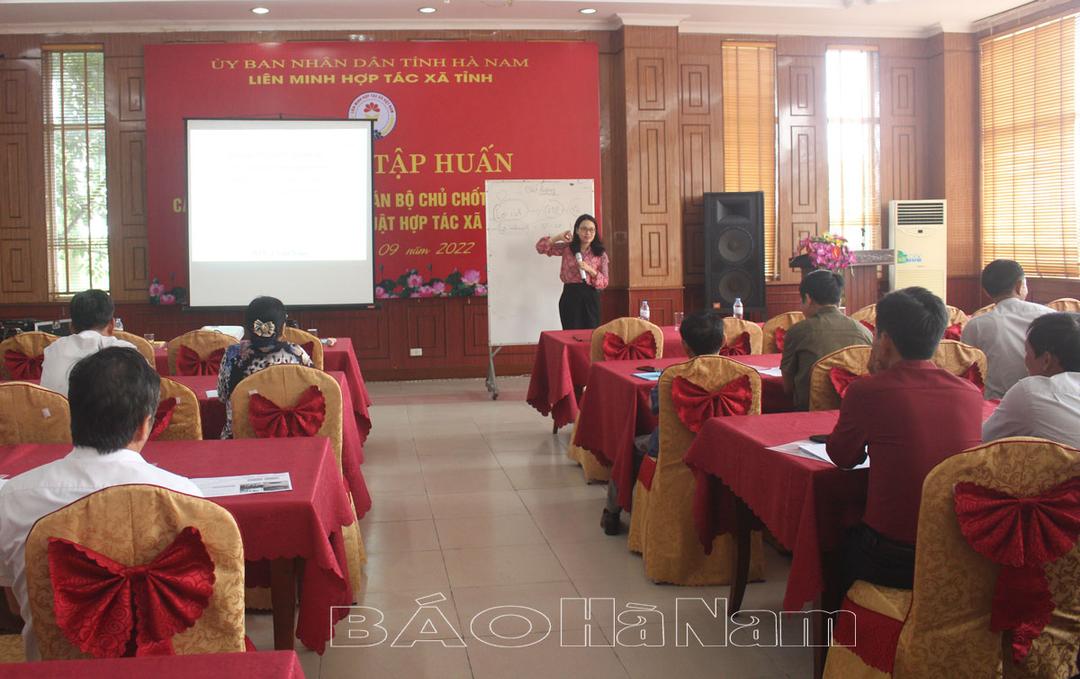 Tập huấn, cập nhật kiến thức cho cán bộ chủ chốt các hợp tác xã