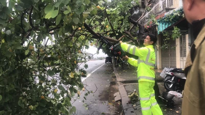 Cập nhật nhanh về thiệt hại do bão số 4 gây ra tại các tỉnh miền trung