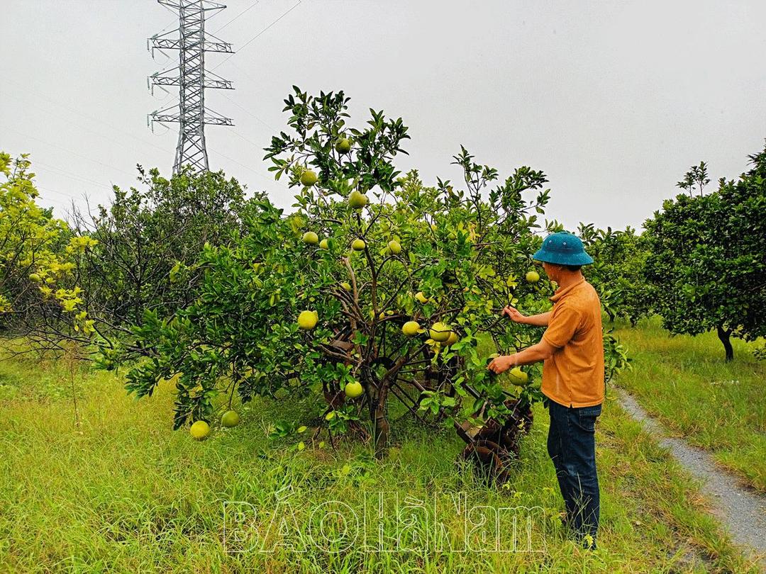 Những việc làm thiết thực ở Chi bộ thôn Mã Não