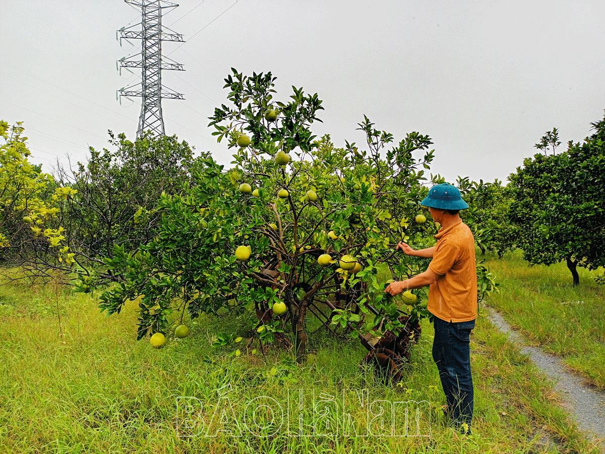 Những việc làm thiết thực ở Chi bộ thôn Mã Não