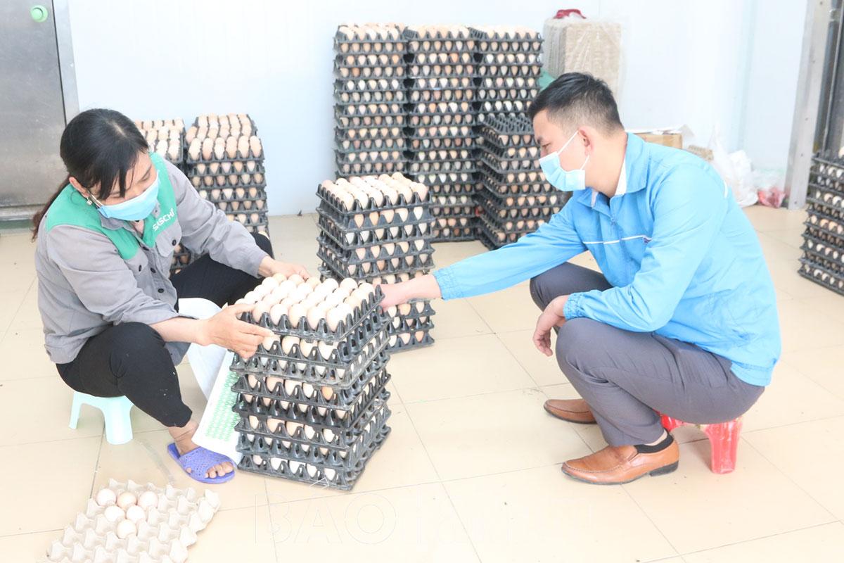 Khơi dậy phong trào sáng tạo của tuổi trẻ