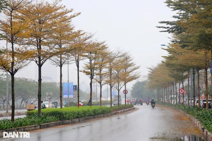 Bộ Công an yêu cầu định giá cây xanh ở Hà Nội