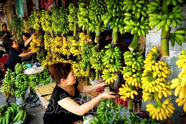 Đặc sản chuối ngự Đại Hoàng vào vụ Tết