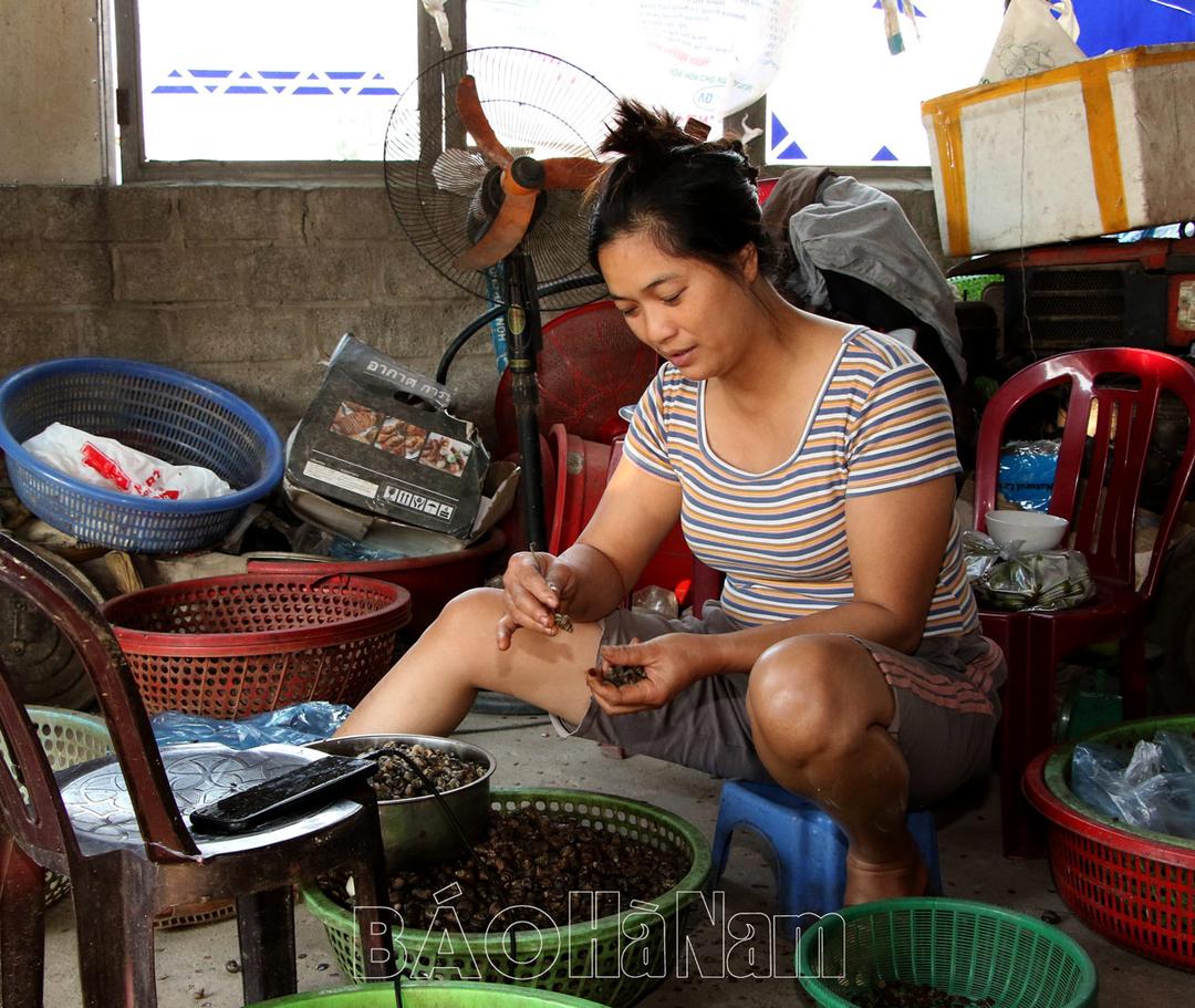 Nghề mới của nông dân Bình Lục