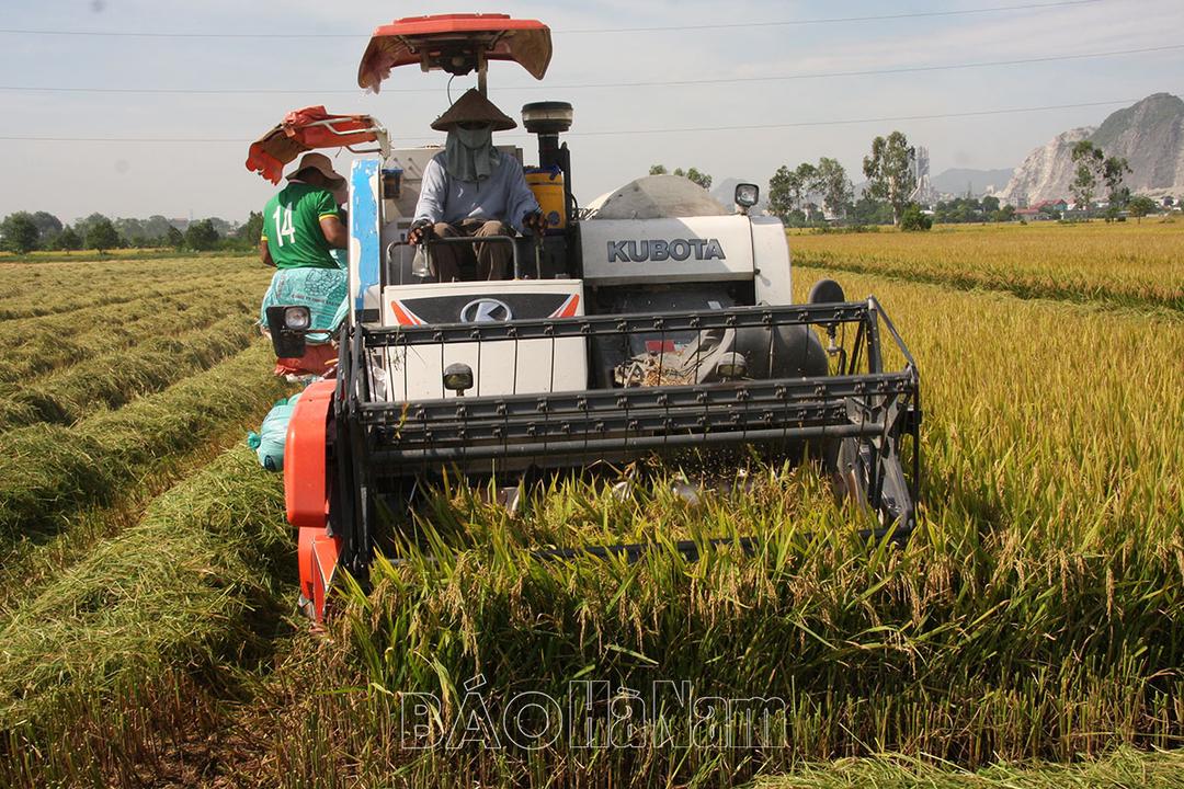 Hội Nông dân huyện Thanh Liêm đẩy mạnh công tác đào tạo nghề cho hội viên