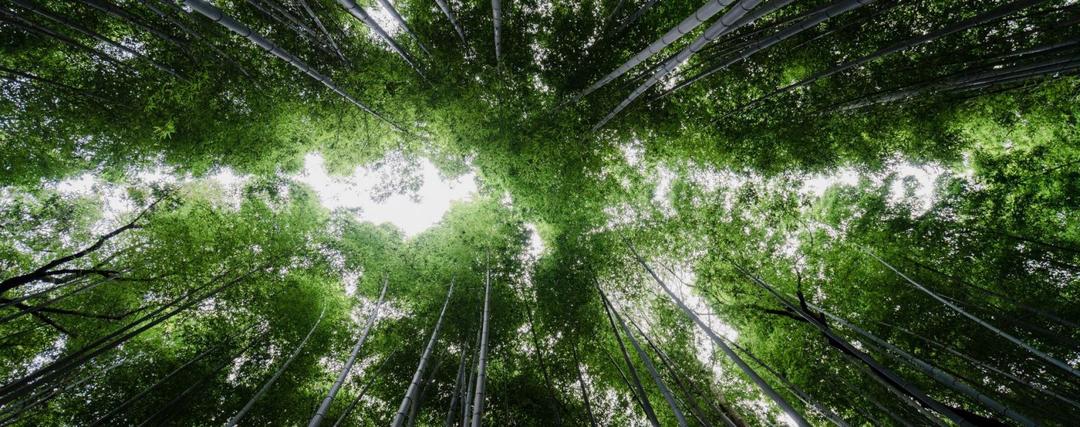 Festival Tre 2022: Hướng tới màu xanh của thiên nhiên quanh ta