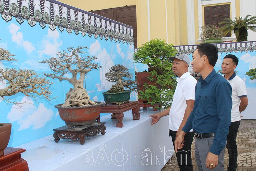 Ghi nhận ở Câu lạc bộ cây, đá cảnh Hà Nam