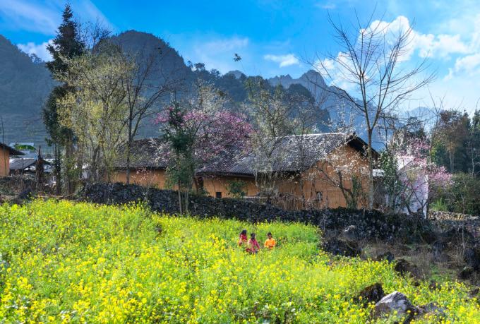 Hà Giang cảnh báo lừa đảo khi thuê phòng ở Đồng Văn