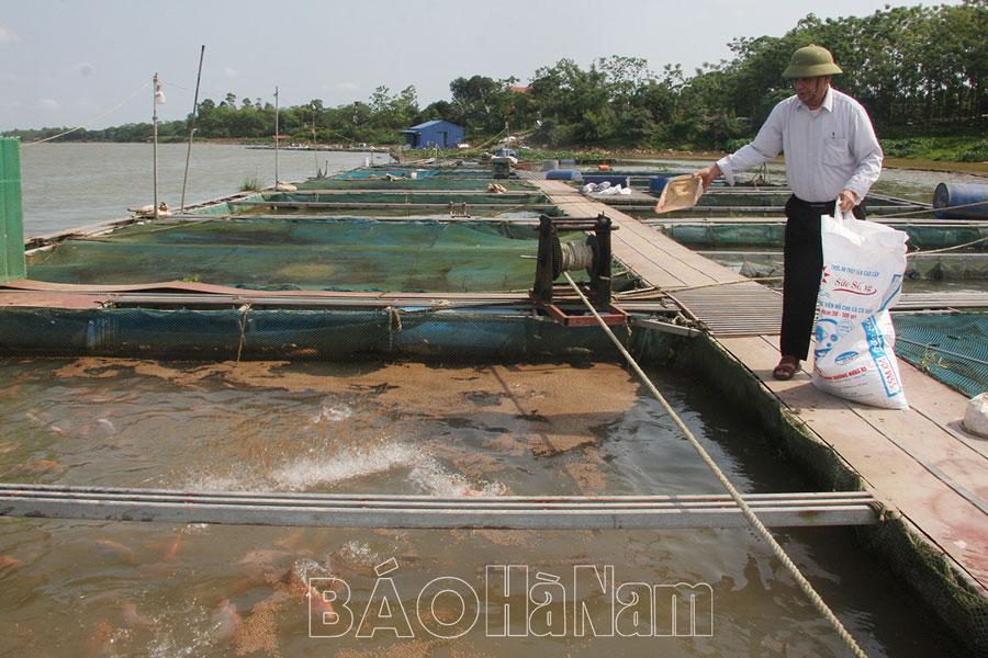 Ghi nhận phong trào thi đua “Cựu chiến binh gương mẫu” ở Duy Tiên