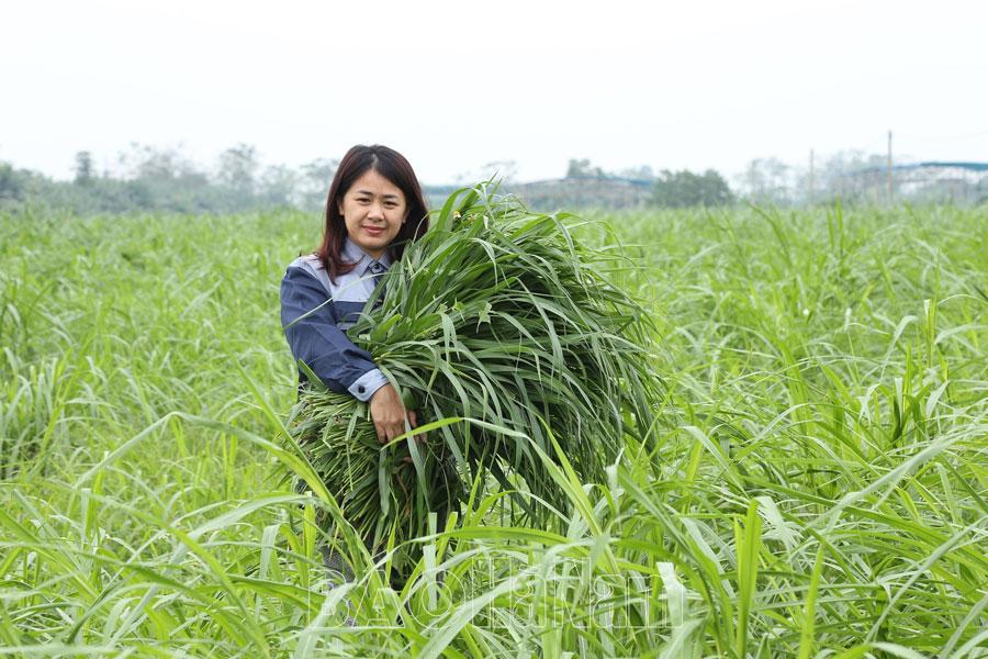 Nông dân thời 4.0 & khát vọng làm giàu