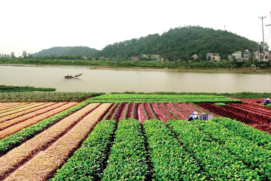 Chất người núi Đọi, sông Châu