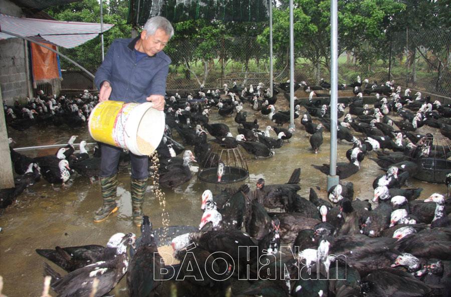 Những cựu chiến binh tiêu biểu vượt khó làm giàu