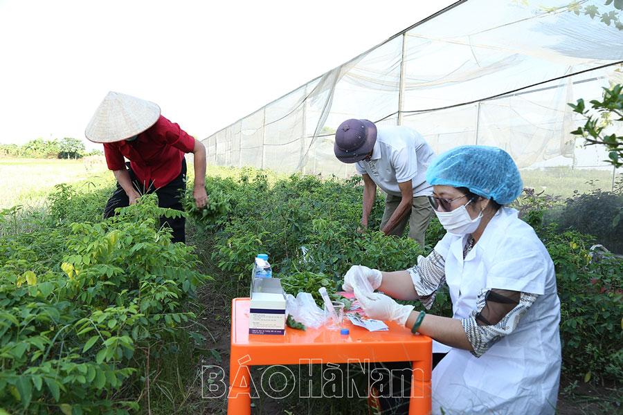 Tăng cường công tác thanh tra, kiểm tra trong lĩnh vực nông nghiệp
