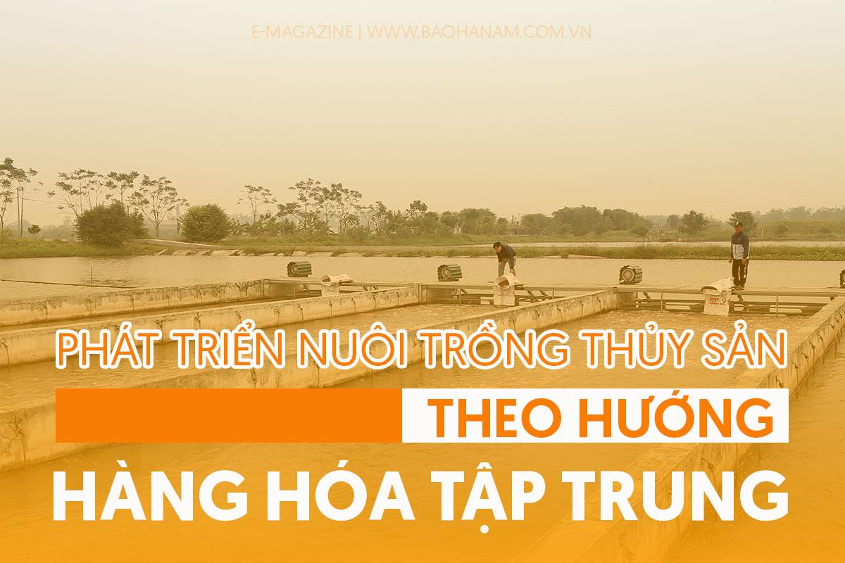 Phát triển nuôi trồng thủy sản theo hướng hàng hóa tập trung
