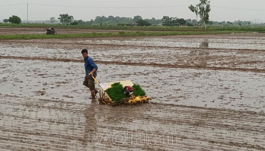 Đồng quê vào vụ mới