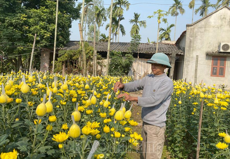 Bình Lục phát huy hiệu quả mô hình tổ hợp tác