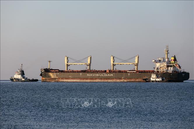 WFP cảnh báo hậu quả khi nguồn cung ngũ cốc từ Nga và Ukraine bị ngừng trệ