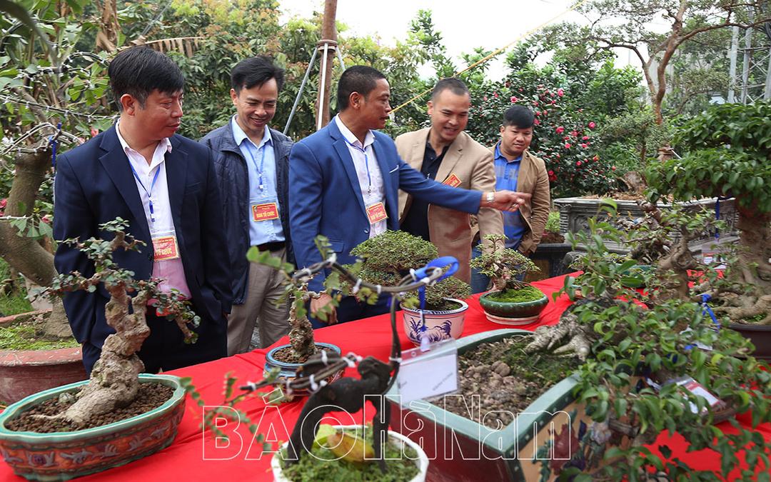 Hội Sinh vật cảnh cụm sông Hồng trưng bày và giao lưu cây cảnh