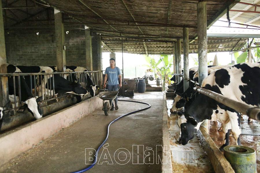 Cựu chiến binh Duy Tiên gương mẫu tham gia xây dựng nông thôn mới